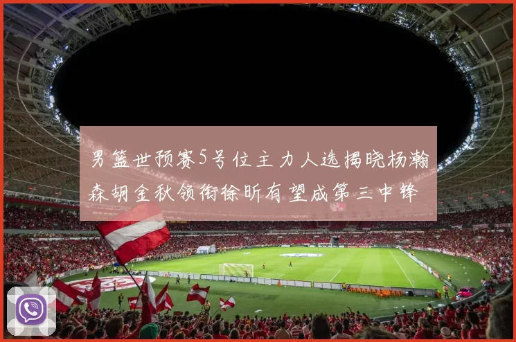 男篮世预赛5号位主力人选揭晓杨瀚森胡金秋领衔徐昕有望成第三中锋