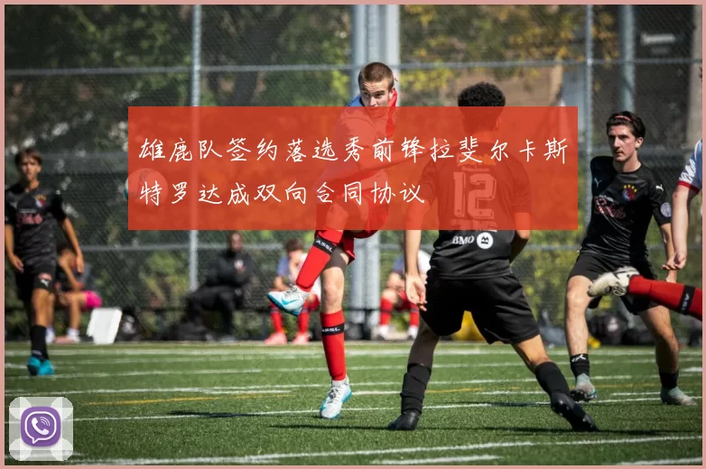 雄鹿队签约落选秀前锋拉斐尔卡斯特罗达成双向合同协议